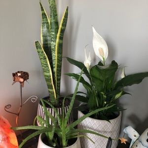 Meet your Posher, Jen